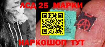 сатива Краснознаменск