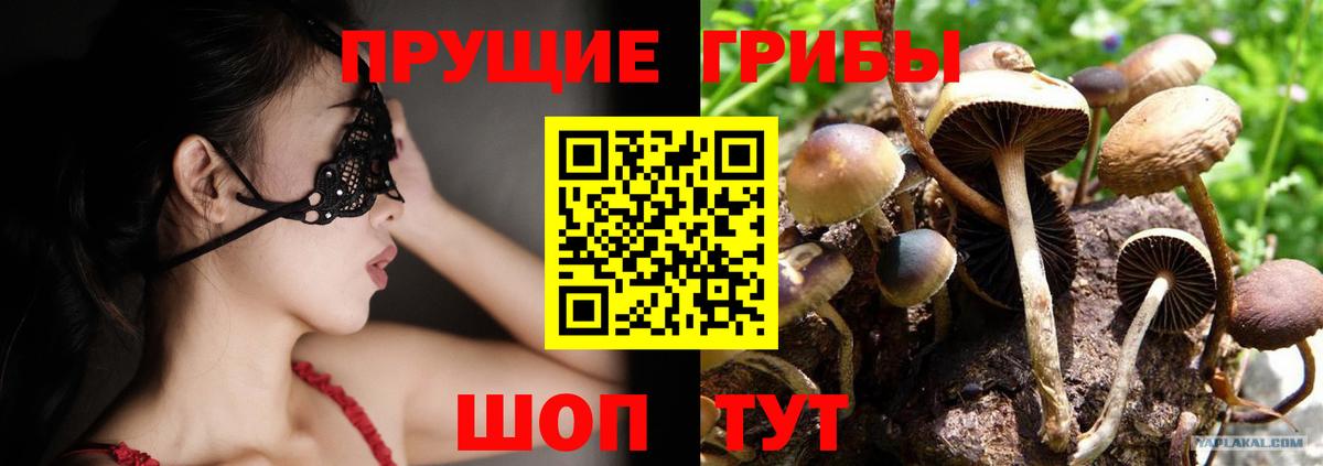 Галлюциногенные грибы мицелий Холмск